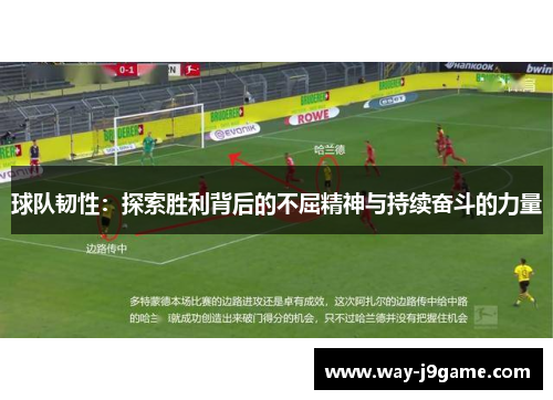 球队韧性：探索胜利背后的不屈精神与持续奋斗的力量