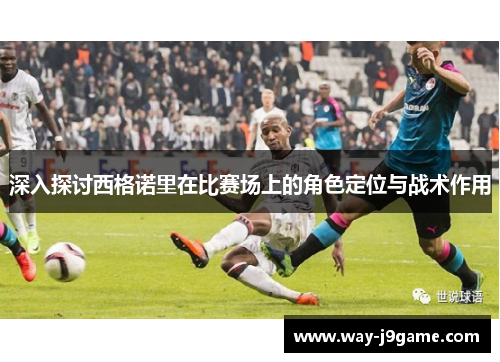 深入探讨西格诺里在比赛场上的角色定位与战术作用