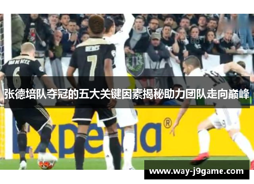 张德培队夺冠的五大关键因素揭秘助力团队走向巅峰 张德培队夺冠的五大关键因素揭秘助力团队走向巅峰