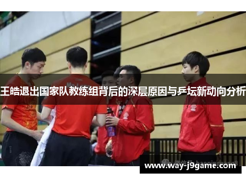 王皓退出国家队教练组背后的深层原因与乒坛新动向分析