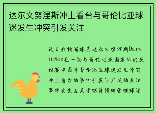 达尔文努涅斯冲上看台与哥伦比亚球迷发生冲突引发关注